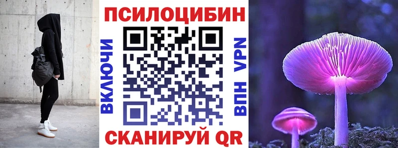 Галлюциногенные грибы мицелий  Пугачёв 