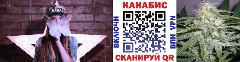Канабис планчик  наркота  Пугачёв 